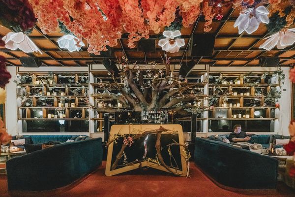 The back bar at Miss Fish Bali under its canopy of cherry blossom, bottles lit along the wall