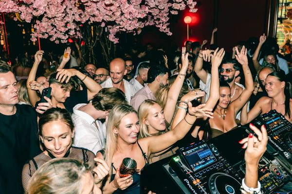 A packed crowd with hands up around the DJ booth beneath the blossom